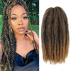 Marley Hair 3 Packs 18 Inch Long Afro Kinky Marley Twist Braiding Hair Natural Synthetic Marley Hair for Twists Crochet Hair Extension 100g/pack(T27#