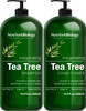 New York Biology Tea Tree Shampoo and Conditioner Set - Deep Cleanser - Relief for Dandruff and Dry Itchy Scalp - Therapeutic Grade - Helps Promote H