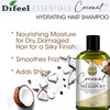 Difeel Essentials Hydrating Coconut Shampoo 12 oz. - Moisturizing Sulfate Free Shampoo made with 100% natural Essential Oils