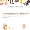 Luseta Jamaican Black Castor Oil Shampoo Strengthen and Restore Fine and Dry Hair Scalp Care 16.9oz