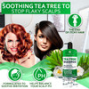 Tea Tree Oil Shampoo - Sulfate and Paraben Free with Collagen Keratin - Ideal for Women and Men with Oily Hair and Scalp Buildup - Anti Dandruff Trea