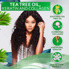 Tea Tree Oil Shampoo - Sulfate and Paraben Free with Collagen Keratin - Ideal for Women and Men with Oily Hair and Scalp Buildup - Anti Dandruff Trea