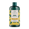 The Body Shop Banana Truly Nourishing Shampoo, 13.5 Fluid Ounce