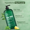 Botanic Hearth Tea Tree Shampoo, Vitamin C, Peppermint, Lavender And Rosemary Oil, Fights Dandruff And Dry Scalp, 16 Fl Oz