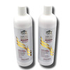 Eternal Spirit Hair Pro Anti Aging Treatment Shampoo and Conditioner Bundle with Stem Cells