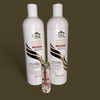 Eternal Hair Pro Anti Aging Treatment Shampoo and Conditioner Stem Cells Serum