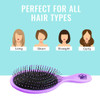 Wet Brush Detangling Hair Brush - Purple - 2 Pack Detangler - Comb for Women, Men & Kids - Wet or Dry  Removes Knots and Tangles, Best for Natural,