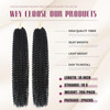 Dansama 2 Packs Passion Twist Hair Water Wave Braiding Hair for Butterfly Style Crochet Braids Bohemian Hair Extensions (18inch (Pack of 2), #1B)