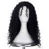 Miss U Hair Women Classic Long Afro Curly Witch Cosplay Costume Wig Punk Lolita Wig (Black)