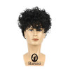 Baruisi Short Curly Mens Black Wig Fluffy Synthetic Cosplay Halloween Hair Wig for Men