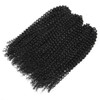 3pcs/pack Kinky Curl Ombre Color 12Inch Afro Kinky Twist Hair Crochet Braids Soft Synthetic Crochet Hair Extention(12inch black)
