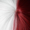 ColorGround Half Silver White Half Red Cosplay Wig for Halloween