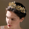 Yean Gold Crown Tiara Fairy Queen Crowns Greek Goddess Headpiece for Women (Gold)