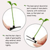 30Pcs Bean Sprout Hair Clips Set, Cute Green Plant Hair Barrettes for Women, Girls, and Kids, Funny Grass Hairpins for School, Parties, and Everyday