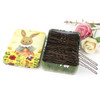200pcs U Shaped Hair Pins Brown with Cute Case, Hairpins for Buns, Premium Bobby Pins for Kids, Girls and Women, Great for All Hair Types(2.4 & 2 Inc