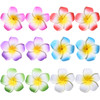 12 Pcs Plumeria Hair Clips Flower Barrettes Floral Headpiece Hair Pins Hairpins Hairclips Women Multicolor Hawaiian Luau Tropical Wedding Vacation Be