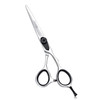 Moontay 6.0" Hair Cutting Shears, Professional Barber Styling Hairdressing Scissors, JP-440C Stainless Steel Salon Scissors, Silver