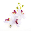 2PCS Hawaiian Orchid Flower Hair Clips Flowers Alligator Clips Hairpins Holiday Travel Wedding Decoration Hair Accessories For Women Lady Bridal (Whi