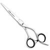 JW CSL Offset Professional Hair Cutting Shears (5.75 Inches)