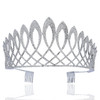Exquisite Clear Austrian Crystal Rhinestone Tiara With Hair Side Combs Crown Prom Princess Queen Beauty Pageant Hair Jewelry T11925