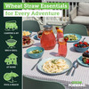 Grow Forward 16-piece Premium Wheat Straw Dinnerware Sets for 4 - Unbreakable Dishwasher & Microwave Safe Plastic Plates and Bowls Sets - Patio, Outd