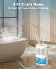 Gocheer Dehumidifiers for Home, Small Dehumidifier with Drain Hose