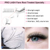 PRO LASHBEAUTY Premade Fans Eyelash Extensions 5D-D-0.10-12 Black PTB Vegan Volume Lash Extensions 9 to 20 mm Pair