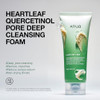 Anua Heartleaf Quercetinol Pore Deep Cleansing Foam, Face wash for Pore Refining Cleanser, Hydrating Daily Facial Cleanser For Double Cleansing, Gent