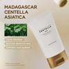 SKIN1004 Madagascar Centella Cream, 2.54 fl.oz, 75ml, Korean Face Moisturiser with Centella Asiatica, Face Cream with Panthenol & Shea Butter, Face M