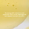 Odacité Hydrating Serum Concentrate with Moringa + Petitgrain - Serum for Very Dry Skin - Face Oil Concentrate for Moisturizing & Hydrating Dry Skin