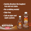 Rust-Oleum Whink Rust Stain Remover | Heavy-Duty Iron Stain Remover for White Toilets & Sinks, Colorfast Fabric & Carpets | 16 oz