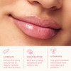 Lanolips Tinted Lip Balm - Moisturizing, Color-Tinted Balm with Lanolin & Vitamin E for Dull, Dry, Cracked Lips, Rhubarb (12.5g / 0.44oz)