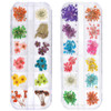 TEOYALL 24 Colors Dried Flowers for Nail Art, 2 Boxes 3D Dry Flowers Nail Stickers Colorful Natural Real Flower Nail Decals