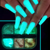 Holographic Luminous Nail Powder Glitter Kit,6 Colors Nail Art Supplies 3D Sparkly Fluorescent Pigments Acrylic Nails Powder Dust Mermaid Shinning Gl