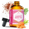 Carrot Seed Oil by Leven Rose, 100% Pure Unrefined Cold Pressed Moisturizer for Hair Skin and Nails 2 oz
