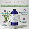 Dr Joe Lab Japanese Camellia Seed Oil - Pure, Unrefined, Cold Pressed, Non-GMO Bulk Carrier - 32 oz - for Skin, Hair, Nails, Body, Facial Hair - Hydr