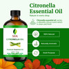 SVA Citronella Essential Oil  4 Fl Oz  100% Natural Citronella Oil - for Diffuser, Hair Care, Face, Skin Care, Aromatherapy, Scalp and Body Massage