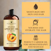 Handcraft Blends Apricot Kernel Oil - Cold-Pressed 16 Fl Oz - 100% Pure and Natural - Premium Grade Carrier for Skin and Hair - Hair and Body - Massa