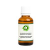 R V Essential Pure Bamboo Essential Oil 30ml (1.01oz)- (100% Pure and Natural Steam Distilled)