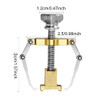 2 Pieces Ingrown Toenail Lifter Ingrown Toenail Tool Toe Clamp Stainless Steel Foot Care Tool for Paronychia (Gold)