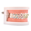 Angzhili 1 Piece Dental Demonstration Orthodontic Model with Metal Wires and Bracket (Metal Bracket)