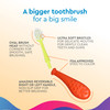 Radius Big Kidz Forever Brush with Replaceable Head Toothbrush for Children, 6 Years and Up, BPA Free ADA Accepted for Growing Teeth and Gums - Right