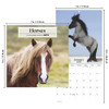 Horses Calendar 2026 - Deluxe 2026 Mare Horses Mini Calendar Bundle with Over 100 Reminder Stickers (Stallion Gifts, Office Supplies)