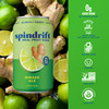 Spindrift Soda Ginger Ale Soda Made with Real Squeezed Fruit 12 Pack Case