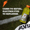 Gatorade Thirst Quencher, Lime Cucumber, 12 Fl Oz (Pack of 12)