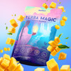 Yerba Magic Yerba Mate Powder Packets - Instant Clean Energy & Focus Drink Mix for Gut Health - Nootropic Blend with Lions Mane, L-Theanine, Prebiot