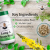 Christopher's Original Formulas Lung & Bronchial Formula - Lung Cleanse for Smokers - Supports Respiratory System with Synergistic Blend of Herbs - P
