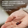 Solgar Full Spectrum Curcumin - 105 LiCaps - Superior Absorption - Brain, Joint & Immune Health - Vegan, Gluten-Free, Non-GMO, Dairy Free - 105 Servi