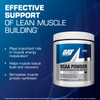 GAT SPORT BCAA Powder Nutritional Supplement, 266.5 Gram