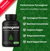 NutraChamps Pycnogenol French Maritime Pine Bark Extract, Premium Circulation Complex, Blood Flow, Nitric Oxide Production, Superior Absorption, Resu